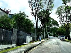 Gallop Villas (D10), Detached #467249061